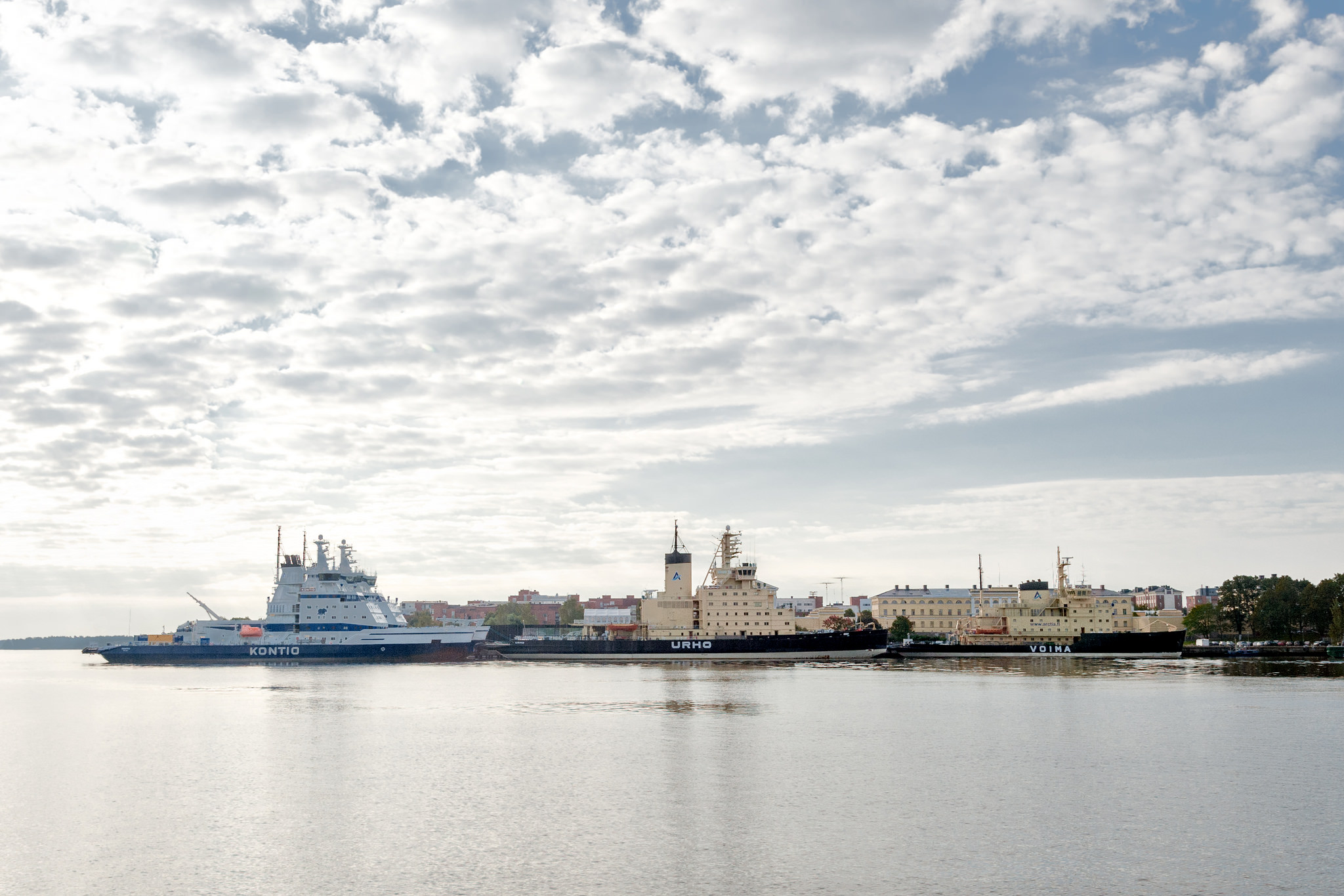 Lausunto SDP:n periaatejulistusluonnoksesta